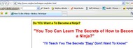 Ninja Training Toolbar screenshot